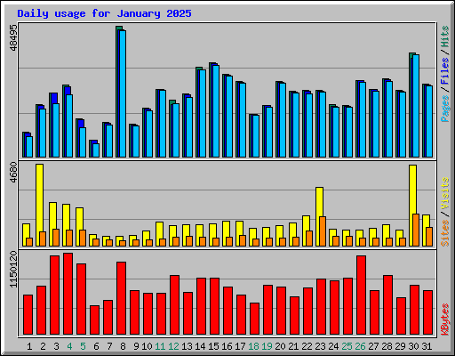 Daily usage for January 2025