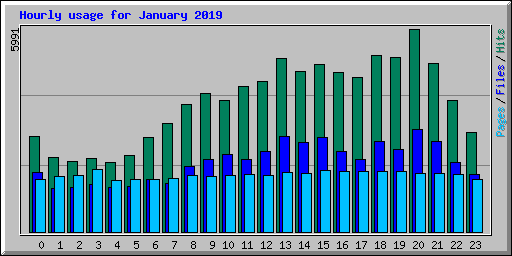 Hourly usage for January 2019