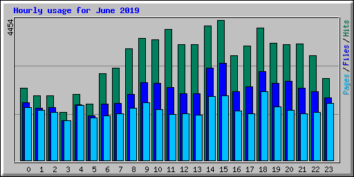 Hourly usage for June 2019