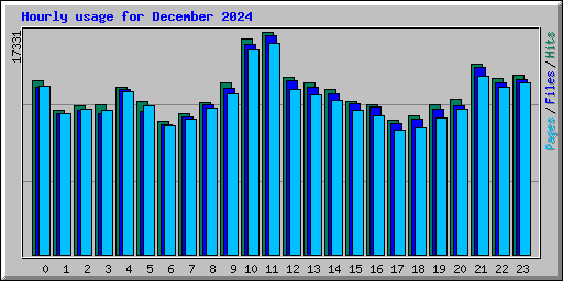 Hourly usage for December 2024