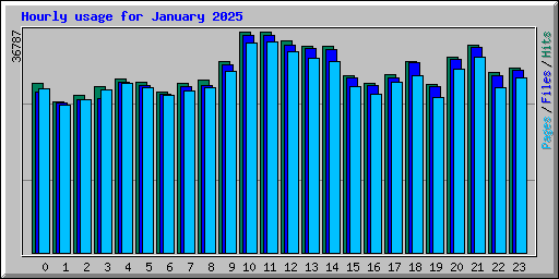 Hourly usage for January 2025