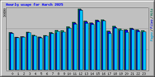 Hourly usage for March 2025