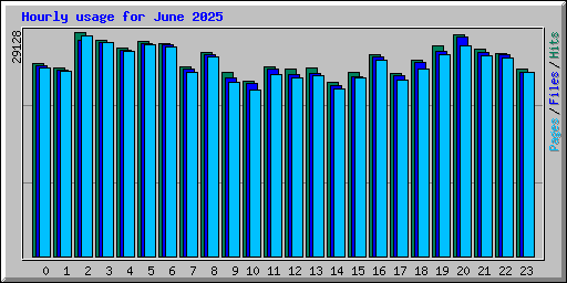 Hourly usage for June 2025