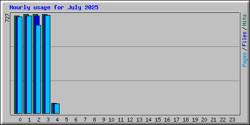Hourly usage for July 2025
