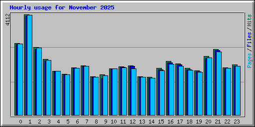 Hourly usage for November 2025