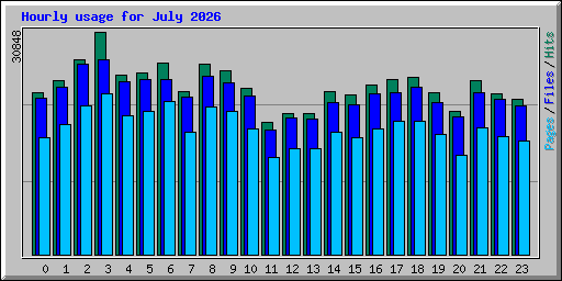 Hourly usage for July 2026